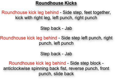 Roundhouse Kicks
Roundhouse kick leg behind - Side step, feet together, kick with right leg, left punch, right punch  Step back - Jab
Roundhouse kick leg behind - Side step left punch, right punch, left punch  Step back - Jab
Roundhouse kick leg behind - Side step block - anticlockwise spinning back fist, reverse punch, front punch, slide back 