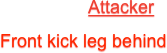 Attacker
Front kick leg behind