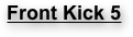 Front Kick 5